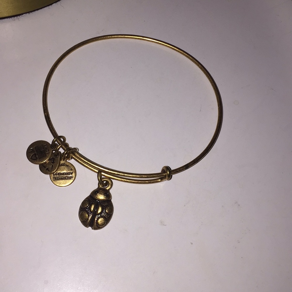 Alex and Ani ladybug bracelet